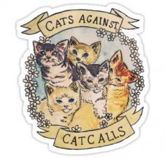 Cats Against Catcalls