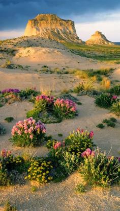 Pawnee National Grassland, northeastern Colorado | John Fielder, Brekenridge