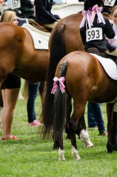 Pink pony tail ribbons to match the pigtails.