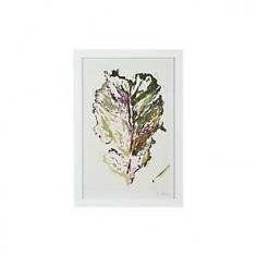 Kale Leaf Print