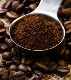 How to Use Coffee Grounds in Your Garden