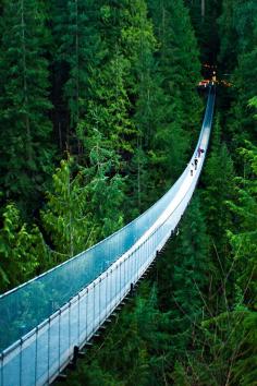 Capilano Suspension Bridge, Vancouver, Canada