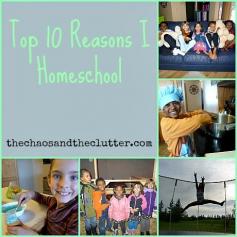 top 10 reasons I homeschool