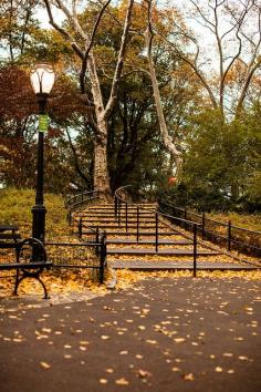 Fall in Central Park, NYC ~ by Rebecca Dale Photography