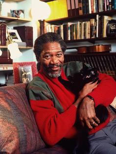 Morgan Freeman has a cat. God has spoken.