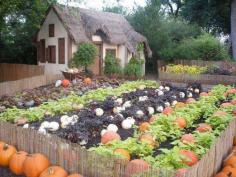 Pumpkin Garden