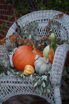 harvest decor