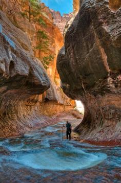 "The Subway" in Zion National Park, Utah