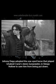 Johnny Depp adopted one-eyed horse to save it from being put down