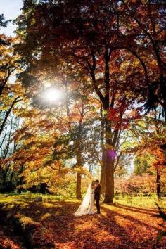 HhHhHmMmM I might be changing my "must have a summer wedding" attitude. Autumn wedding..I want a picture with us in the fall foliage!