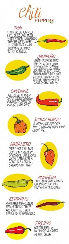 #Chilli #Pepper #Infographic