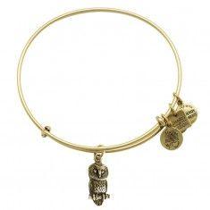 Alex and Ani bracelet "Ode to the Owl" - I like it best in gold :)