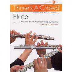 Here are 27 easy-intermediate arrangements of familiar melodies in classical, folk and jazz styles. Each tune is presented as a trio, but these ingenious arrangements work equally well as solos or duets - with or without accompaniment. You can even invite other instrumentalists to play along using the Clarinet, Saxophone, Brass and Violin editions in Junior Book B of this series. This highly flexible series of coordinated instrumental books has been designed to give young people the chance to play together in various combinations of numbers and instruments. Perfect for one, two or three flutes - with or without accompaniment May also be used with matching arrangements in Junior Book B editions of this series for Clarinet, Saxophone, Brass or Violin Optional Piano Accompaniment book with guitar chord symbols available Ideal for individual or classroom use