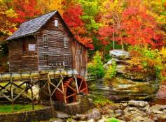 Forest water mill