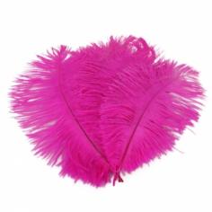 Look for Other Home Decorations? Buy this 10 x Rose Red Ostrich Feathers (20-25cm) with low price and good quaility. tmart.com store provides cool gadgets, cell phones, consumer electronics, LED flashlight, car accessories, phones accessories, computer accessories, games accessories, holiday gifts and security camera.