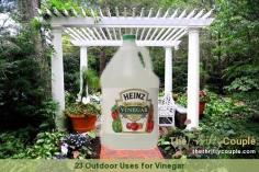 outdoor-uses-for-vinegar