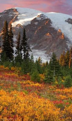 Autumn in Mount Rainier National Park, Washington via @National Parks Conservation Association