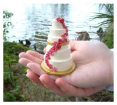 Send pictures of your wedding cake to this company and they will make a christmas tree ornament that looks exactly like your cake.