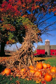 Red Barn In Michigan