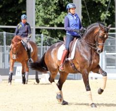 More brown riding boots in the Olympic dressage warm up - Tinne Vilhlemsson Silfven - Don Auriello