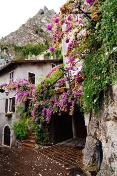 Trentino, province of Trentino, Trentino alto Adige region Italy.