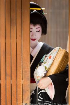 Hassaku - An annual event of Geiko visiting their masters and tea house to show their appreciation with gifts, was held on August 1 in Kyoto, Japan