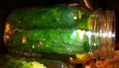 Dill pickles