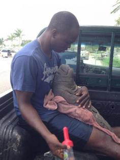 Meet The Man Saving Belize's Manatees, One Baby At A Time
