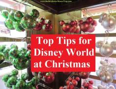 Check out or tops tips for a great Disney World Christmas vacation! See: www.squidoo.com/...