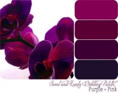 purple color scheme | Wedding Color Palette / Purple + Pink