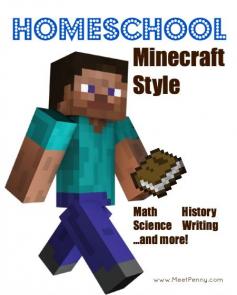 Simple ideas for homeschool "minecraft style"