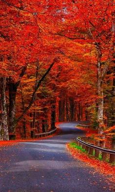 autumn  by Jonatàn  Chipuli