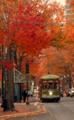 New Orleans - street car line