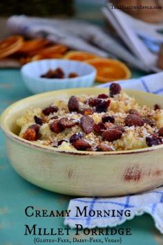 Creamy Morning Millet Porridge {Gluten-Free, Dairy-Free, Vegan} TheHealthyApple.com #glutenfree #recipe #healthy