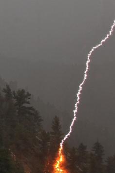 Lightning strikes pine tree by bill.bryant99 on Flickr. "I managed to catch this lightning strike on a pine tree last night. Fortunately, there was heavy rain at the time, so the fire was extinguished immediately." Golden, Colorado, US.