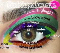 A complete eye diagram of where to place makeup