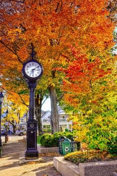 Autumn - Bar Harbor, Maine