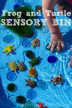 Frog & turtle sensory bin - Hip Homeschool Moms