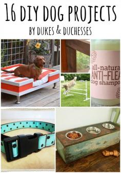 16 DIY dog projects