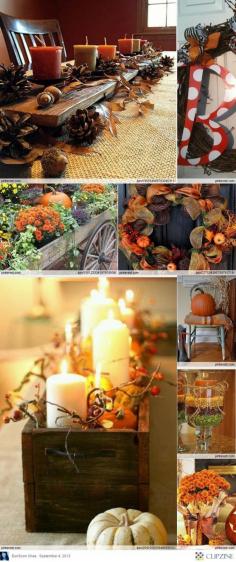 Fall Decorating Ideas, I was just thinking about borrowing Dad's wooden tool box drawers.  He wouldn't kill us, would he?