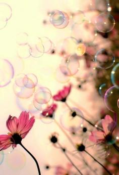 bubbles