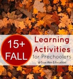 15+ Unique Fall Learning Activities for Preschoolers - So cool!