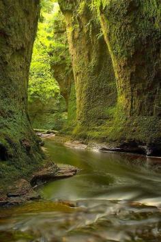 Finnich Glen, Loch Lomond, Scotland