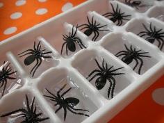 Spider ice