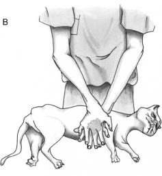 CPR for Dogs, Cats. Might be glad I pinned this someday! ALTHOUGH, if my dogs choking i wont have time to look up on pinterest how to save him, i'll just have time to SCREAM!!