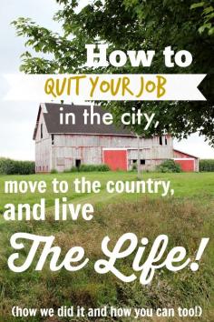 A step-by-step guide to how we left the city life and moved to a big property in the country before the age of thirty. You could too!