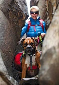 Great post about an extremely fun and healthy activity for both you and your dog: Backpacking with Dogs #dog #walk #outdoors