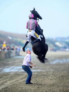 This is the terrifying moment when Arbritrageur reared up just as jockey Johnny King tried to mount him with groom Aidan Wall cowering under the massive creature.  Thankfully the partnership managed to remain intact and no one was injured.