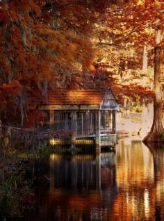 Autumn beauty of a cabin on water's edge