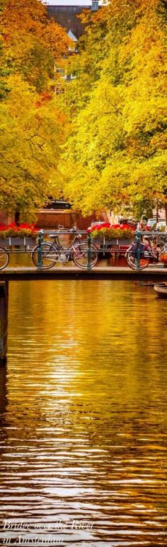 Netherlands Ⓓ◡Ⓓ,in fall